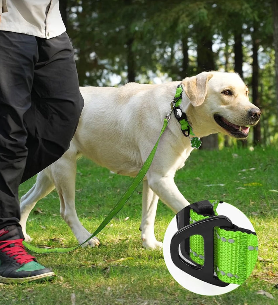 Smart Pet Tracking Leash with AirTag Holder – Premium Dog & Cat Leash